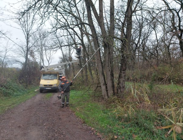 Faápolási munkálatok zajlanak a Sóstói Múzeumfalunál 