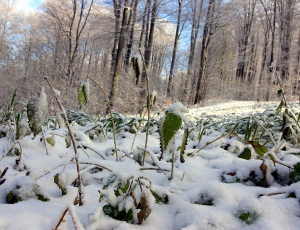 Megérkezhet a havazás, mutatjuk hol fog esni