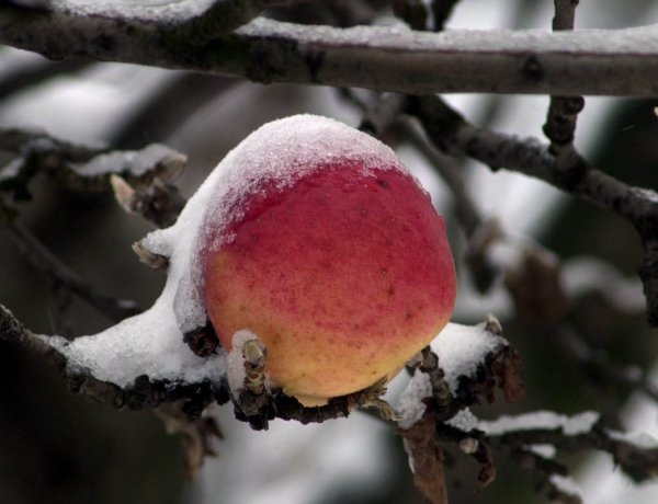 Az esőt válthatja a havazás, borús napunk lesz