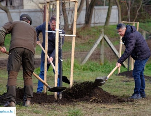 Megújult Nyírszőlősön a Kollégium utca és hársfákkal gazdagodott a Kollégium utcai sportpálya
