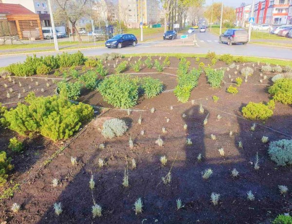 Fák és cserjék őszi ültetését végezték a NYÍRVV munkatársai a város több pontján