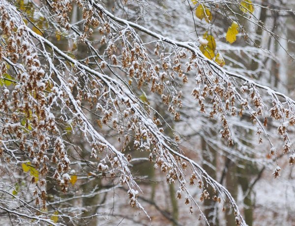 A napot ma nem sok helyen láthatjuk, mutatjuk hol lehet havazás