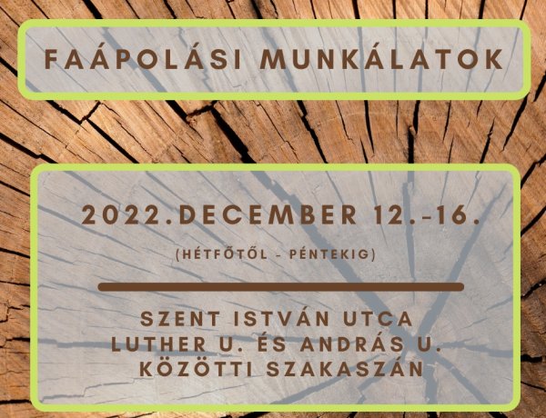 Faápolási munkálatokat végez a NYÍRVV a jövő hét folyamán a Szent István utcán