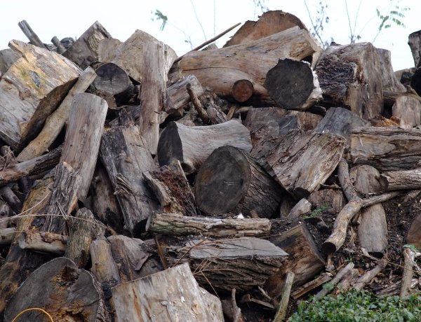 Szociális tűzifaprogram – 5 mázsa tüzelőanyagot igényelhetnek a családok