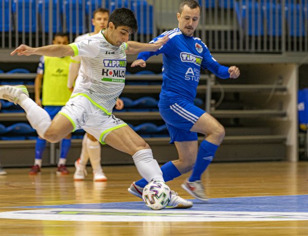 Megrángatták az oroszlán bajszát! 