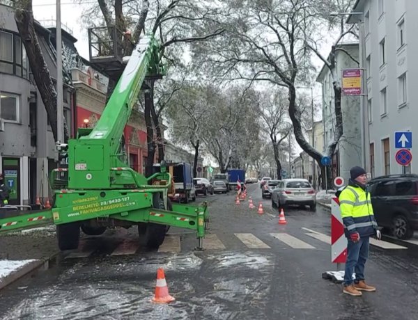 Favágási, faápolási munkálatokba kezdtek hétfő reggel a Szent István utca elején