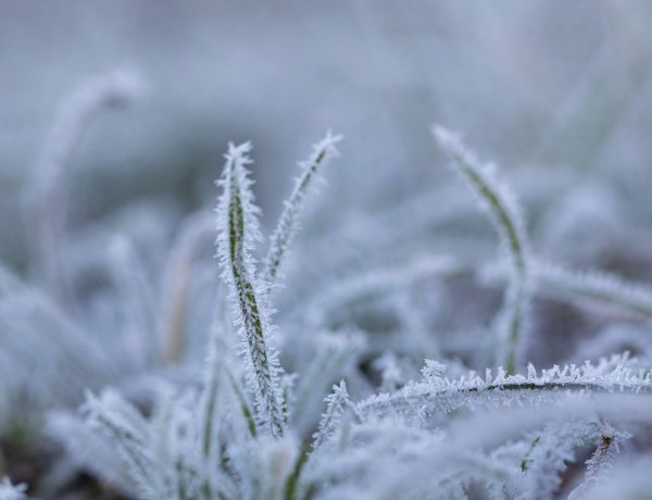 Fagyosan indul a hét, mutatjuk, hány fok lesz ma