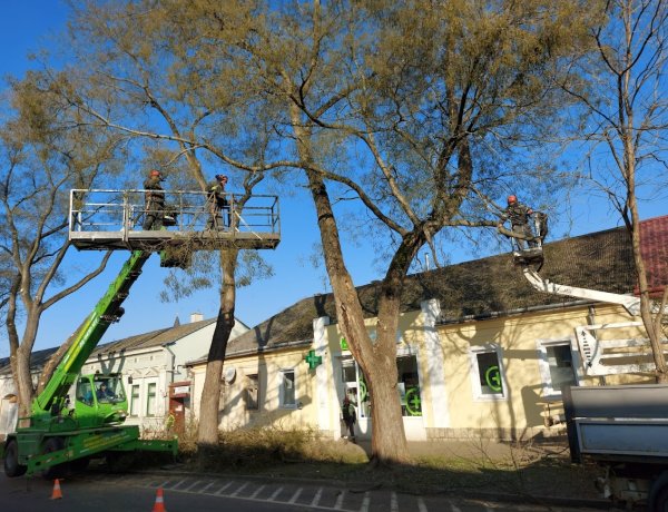 A NYÍRVV megbízásából a Szent István utcán végeztek fagallyazást