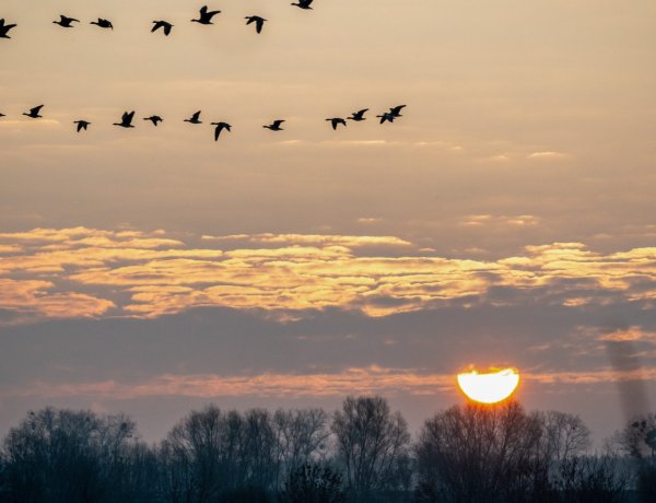 Többfelé lesz felhős az ég, de néhol a nap is kisüthet