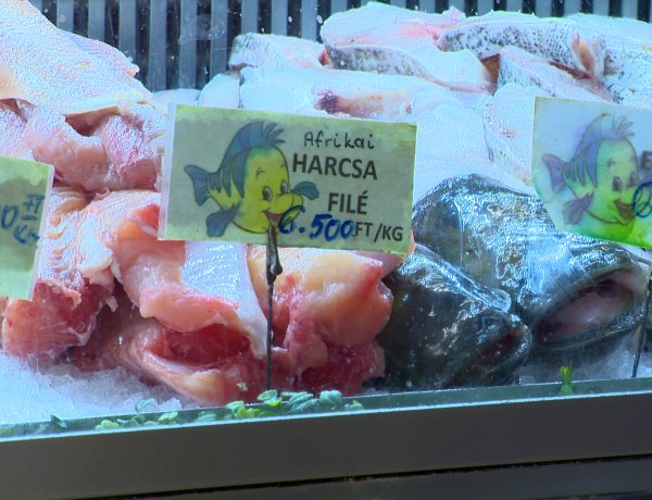 Hal a karácsonyi asztalon – A karácsonyi időszak meghatározó a hazai halfogyasztás szempontjából