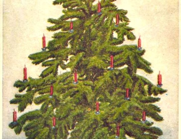 Amiről az utcák mesélnek... - Mindenki karácsonyfája