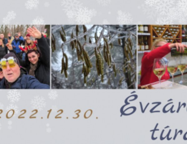 Túrabot és boros pohár, évzáró gyalogtúra a Zöld Kerékkel