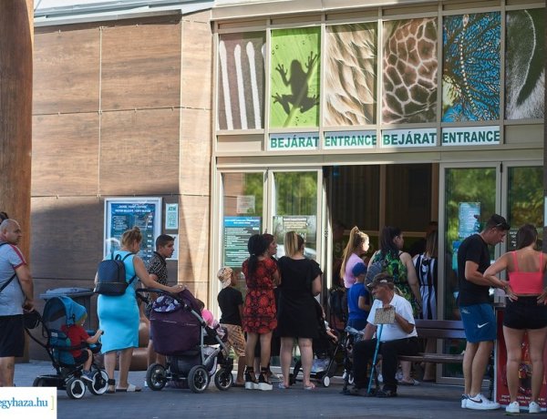 Csaknem ötszázötvenezer látogató járt idén a Nyíregyházi Állatparkban