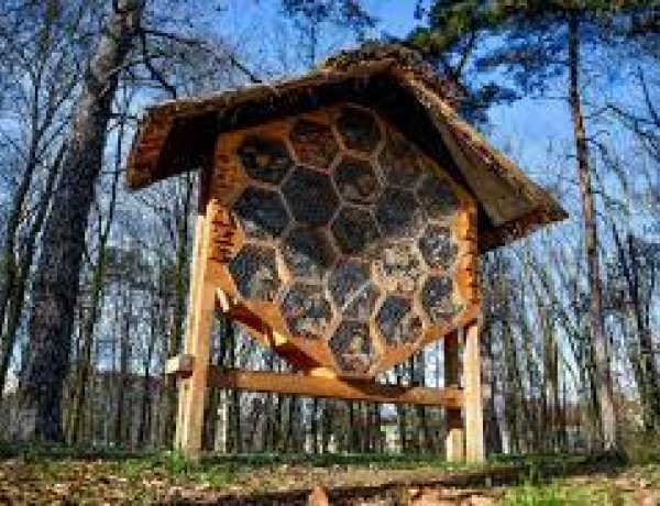 Kettészakítja a front az országot, mutatjuk, hol lesz több napsütés