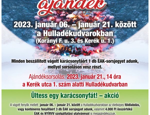 Várják a karácsonyfákat – Ismét meghirdette gyűjtőakcióját a Környezetgazdálkodási Társaság