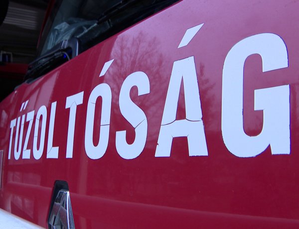 Állatmentés, műszaki mentés és tűzoltás is volt január első napján térségünkben!