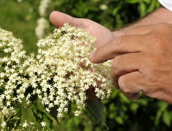 Ezek a természetes módszerek enyhíthetik a nátha tüneteit