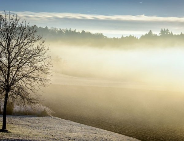Kora-tavaszias napsütés váltja fel a reggeli ködöt