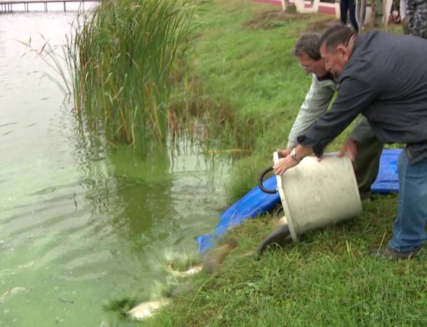 Döntött a MOHOSZ: jelentős horgászjegyár-emelés lesz idén