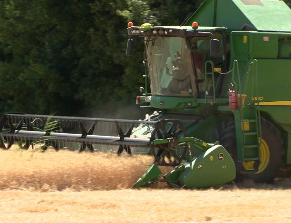 Jelentős aszálykárok – Csak a térségből több mint 11 ezer kárigényt jelentettek a gazdák