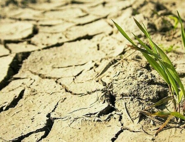 Meteorológia: A tavalyi a történelmi aszály éve volt