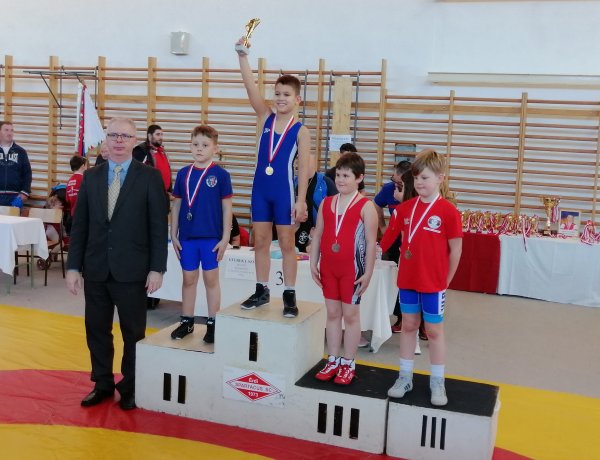 Érem Érdről - Jól szerepeltek a birkózók