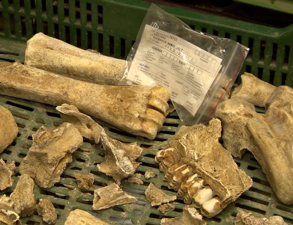 Császár- és bronzkori emlékek – Régészek a gyorsforgalmi nyomvonalán