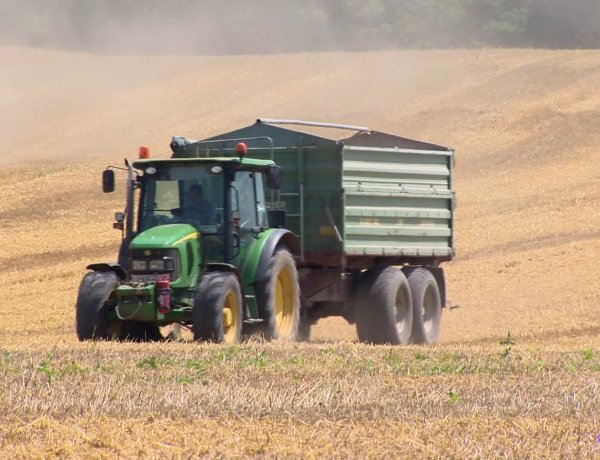 Kárt okozhat az enyhe idő – A mezőgazdaság nagyon várja a hideg, téli időjárást
