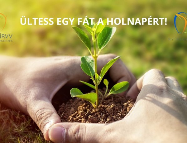 Ültess egy fát a holnapért! – Városszépítő akció Nyíregyházán