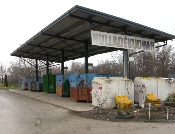 Karácsonyfáért ajándék - Sikeres lett az idei akció is.