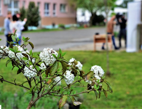 „Ültess egy fát a holnapért” – Városszépítő akció idén is