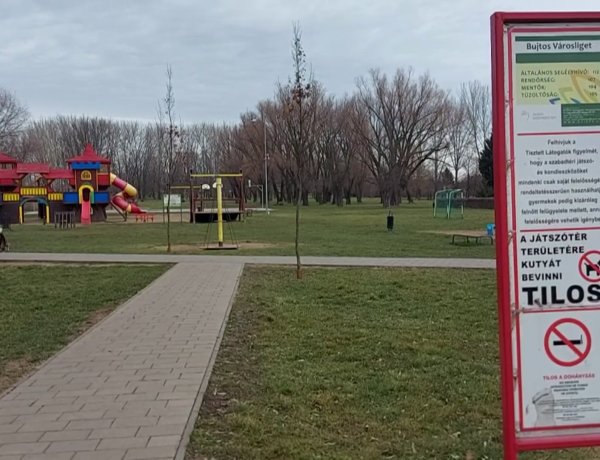 Bujtosi Városliget: arra kérik a kutyatulajdonosokat, hogy a kijelölt kutyafuttatóba vigyék állataikat