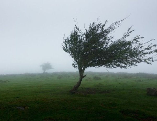 Erős szélvihar csap le az országra, akár óránkénti 110 kilométeres erősségű lökések is lehetnek