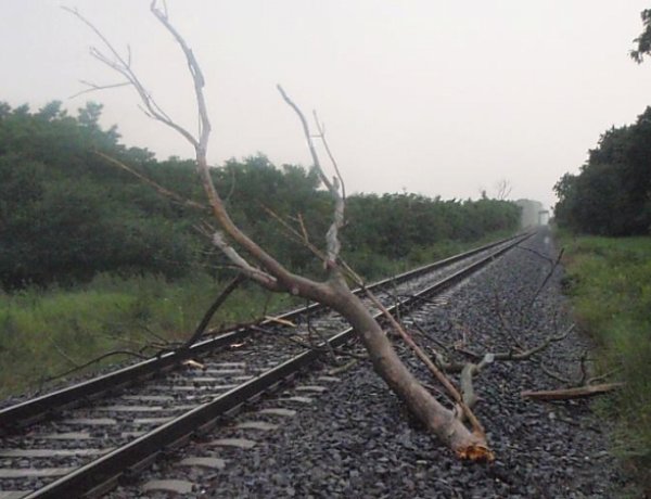 Vasútvonalak és autópálya-pihenő működését is akadályozzák kidőlt fák