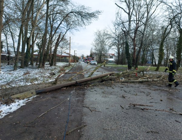 Nyíregyháza több pontján is fennakadásokat okoz a szél