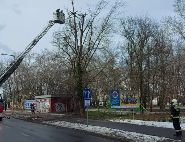 Szombaton délelőtt a viharos szélben le kellett zárni a forgalmat a Szegfű utcán