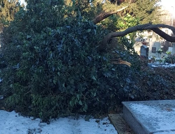 Az Északi temetőben is okozott károkat a szeles időjárás a hétvégén