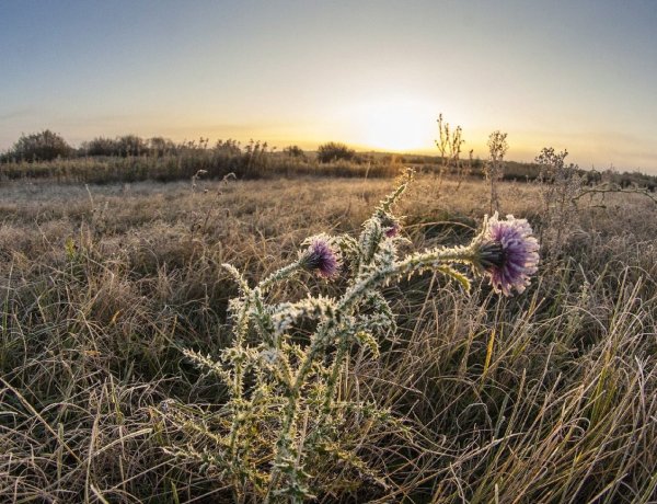 Szerdán már plusz fokokban napfürdőzhetünk