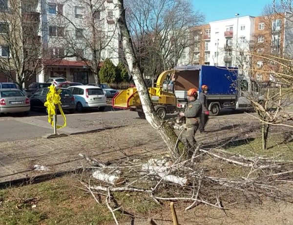 Folytatódnak Nyíregyháza belterületén a faápolási munkák