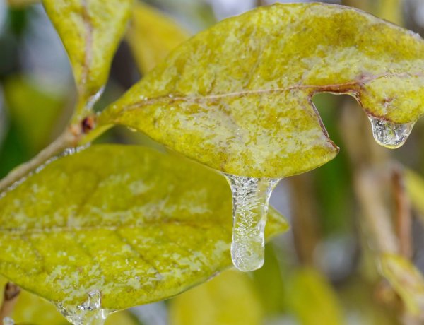 Bekeményít a hideg, alig kúszik nulla fok fölé a hőmérő