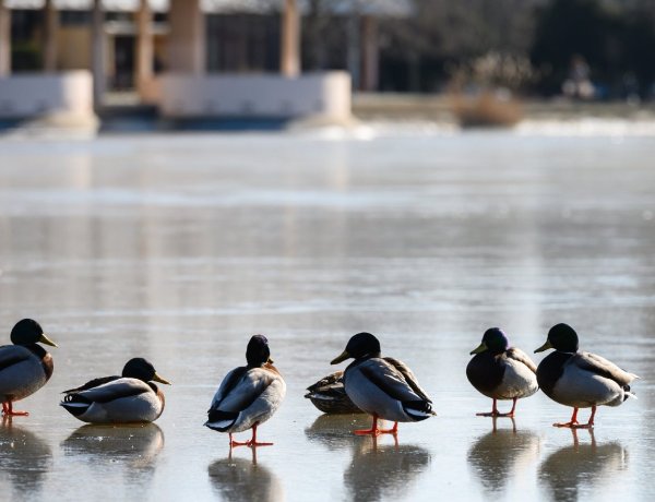 Csípősen indul a reggel, de sok napsütést tartogat a péntek