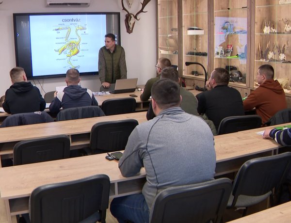 Vadászat – Új jogszabályok és új igazolványok a vadászkamaránál