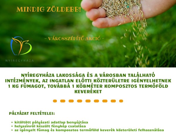 A szomszéd fűje mindig zöldebb! – Városszépítő akció Nyíregyházán