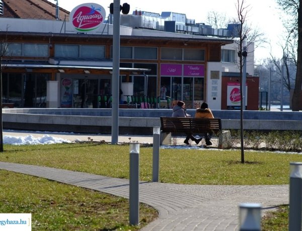 Programok a hétvégére – Atlétika, farsang és jótékonysági futás Nyíregyházán