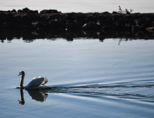 Kora tavaszias idővel indul a hét