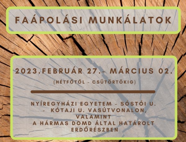 Február 27. és március 2. között faápolási munkálatokat végez a NYÍRVV Nonprofit Kft.