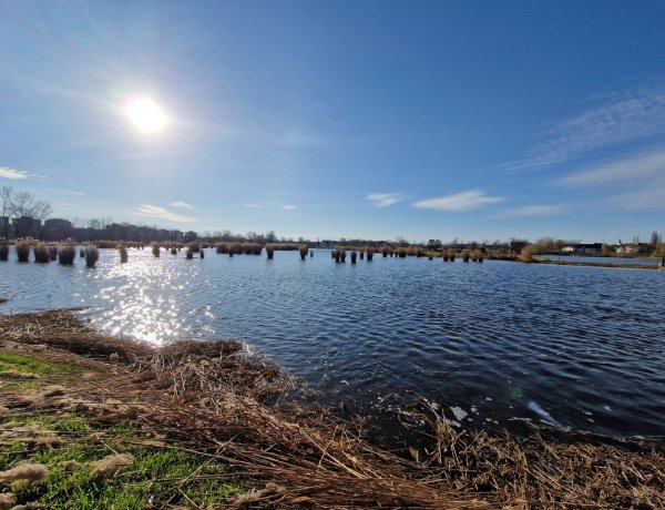 Nádvágási munkálatok a Bujtosi-tó körül: diákok is megfigyelhették a folyamatot