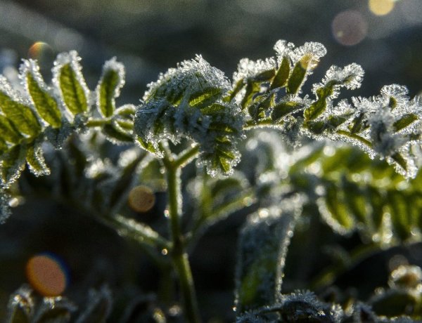 Mutatjuk, mikor havazhat – meglepő fordulat jön