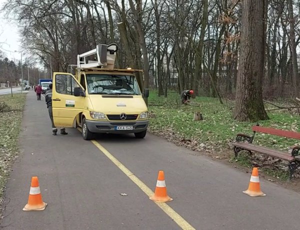 A NYÍRVV megkezdte a faápolási munkálatokat a Sóstói úton