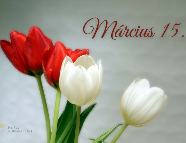 Tájékoztatás a NYÍRVV március 15-i munkarendjéről